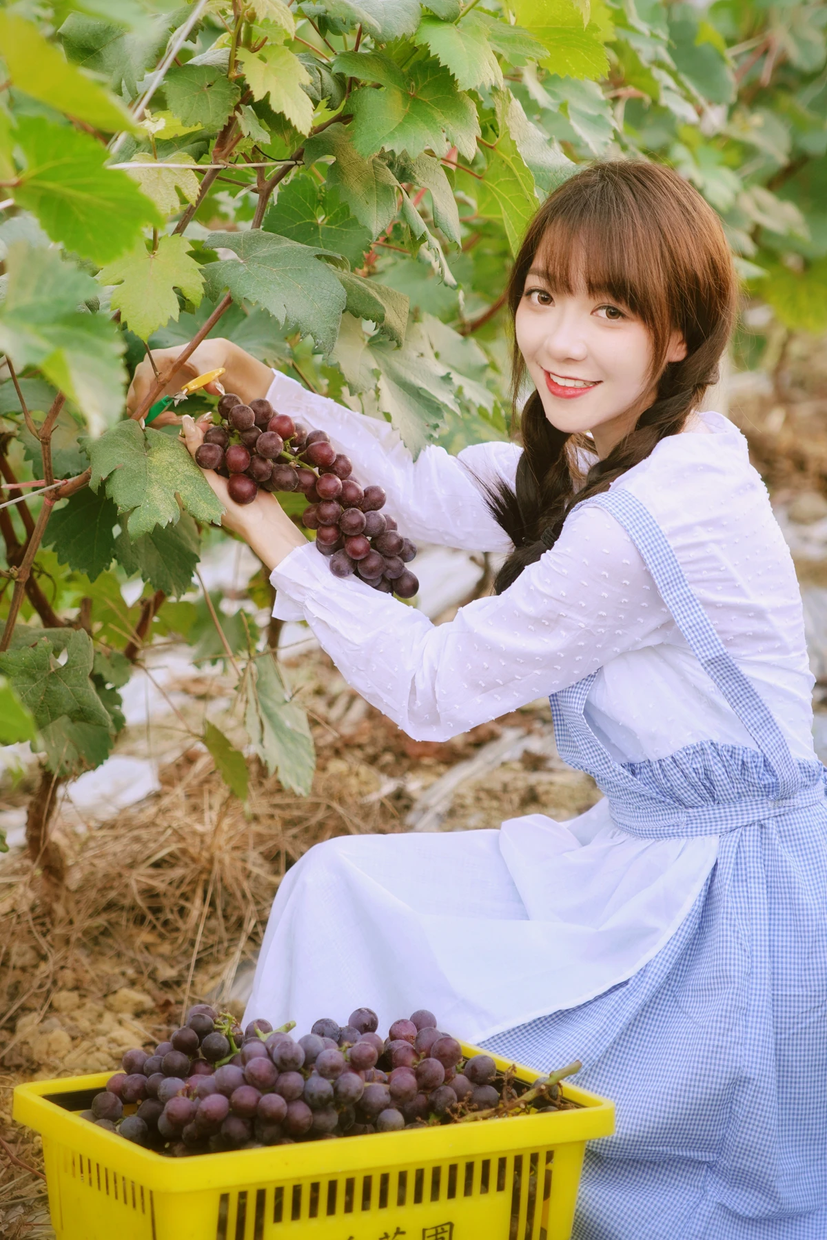 [YITUYU] 2023.02.04 Vol.2969 The joy of harvest in the vineyard duck duck#[24P]-8